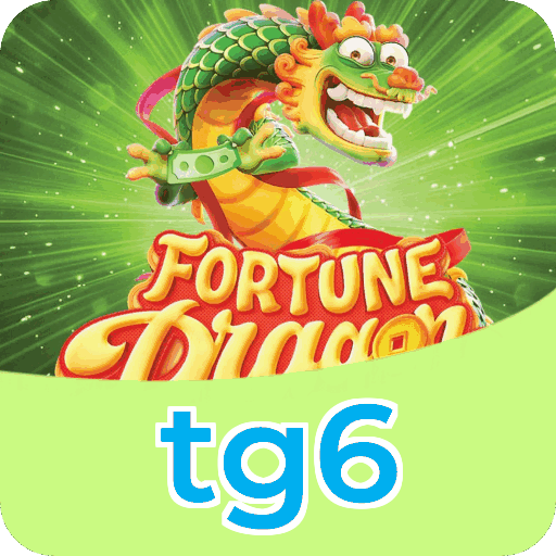 Termos e condições